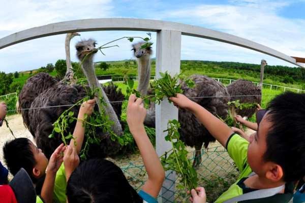 Uk Farm Agro Resort Keluang Exterior photo